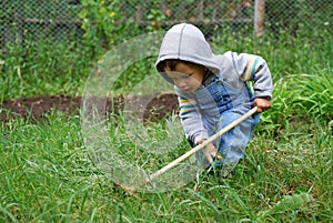 Small boy with rake photo