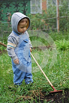 Small boy with rake