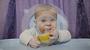 A small boy tastes yellow lemon