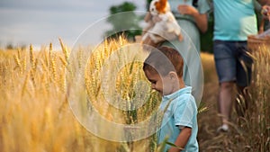 Small boy is walking in summer field with his sister and parents in slowmo
