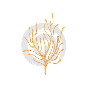 Small branching coral. Ocean plant. Nature and marine fauna. Sea life. Flat vector illustration with texture