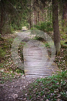 Small bridge