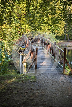 Small bridge in Branitz Park photo