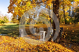 Small bridge in Catherine park in autumn, Pushkin (Tsarskoe Selo), St. Petersburg, Russia