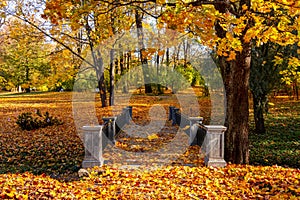 Small bridge in Catherine park in autumn, Pushkin (Tsarskoe Selo), St. Petersburg, Russia