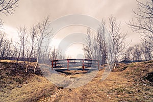 Small bridge at a dry river