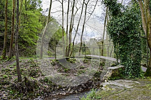 A small bridge in the green park
