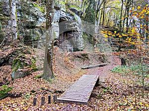 small bridge during hiking trail in autumn