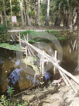 Small bridge over a canel with bamboo tree in Villege