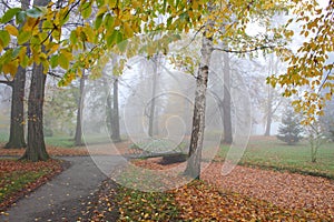 Small bridge over dry creek in misty park