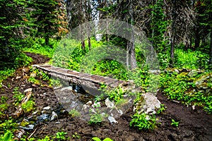Small bridge over a muddy creek on a hike through Alpine forest to Tod Mountain