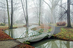 Small Bridge over a rivulet