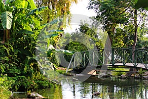 Small bridge on a pond in a garden