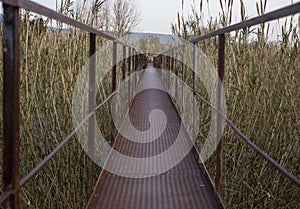 Small Bridge River Italy Sunny Day Spring Between Reeds Blue Sky Iron Bridge Over the River