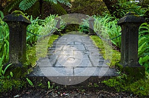 Small bridge in the Terra Nostra Garden