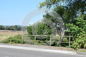 small bridge in ThÃ¼rer Wiesen