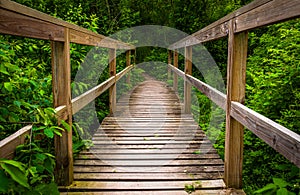 Small bridge on a trail in Codorus State Park