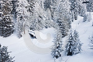 Small bridge under deep snow in woods