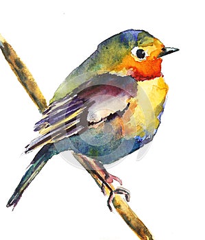 A small, bright bird sits on a branch, isolated background, watercolor, graphics