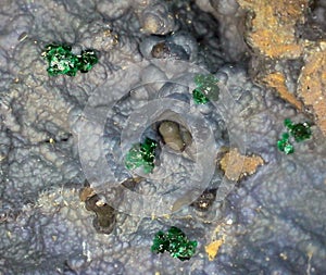 Small bright green malachite (copper carbonate) crystals on matrix