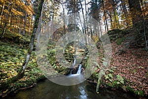 Small brook in black forest, Germany