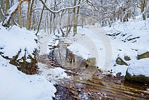 Brook flow through the snowbound mountain canyon