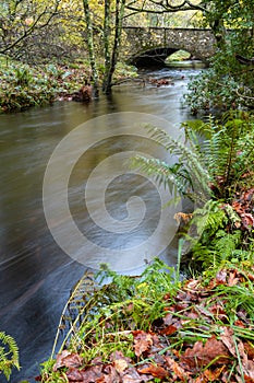 The small brook and stone bridge in the forest at the ancient Glendalough mistery site in the Wicklow mountains in Ireland