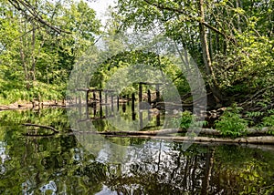 A small brown river, trees fall into the water, low river calm,.summer forest river reflection landscape