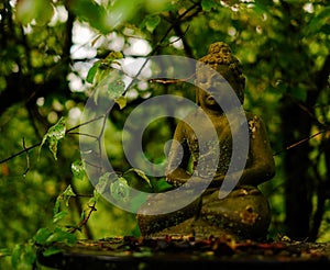 Small Buddha among the trees