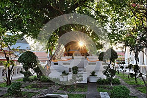 A small Buddhist altar by a tree. The rays of the sun shine through the branches of a tree