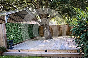 A small built out pressure treated wood deck space with a greenery covered wall to the garage