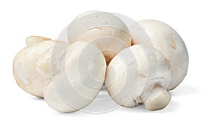 A small bunch of fresh champignons on a white isolated background