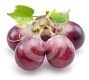 Small bunch of red table grape with grape leaves isolated on white background