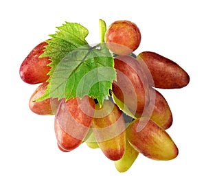 A small bunch of ripe grapes with leaves is isolated without a s