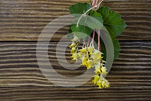 Small bunch of yellow flowers on rustic wood