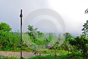 Small bungalow among green season and low level cloud