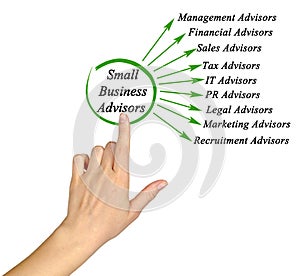 Small Business Advisors