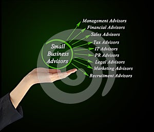 Small Business Advisors