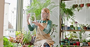 Small Business Owner Tends to Thriving Indoor Plants in a Bright Urban Greenhouse