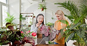 Small Business Owners Cultivate Passion for Indoor Gardening in Light-Filled Greenhouse