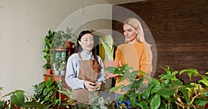 Small Business Owners Discuss Indoor Plant Care In Their Flower Shop