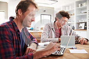 Small business partners using computers at home