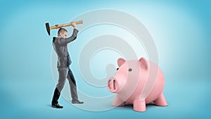 A small businessman holds a heavy hammer over his head to break a large piggy bank.