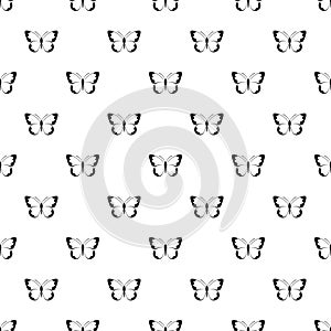 Small butterfly pattern seamless vector
