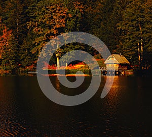 Small cabin on the lake, surrounded with forest trees in autumnal colors