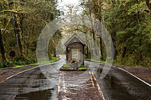 Small cabin in the middle of the road after rain in Hoh Rain Forest, Olympic National Park, USA