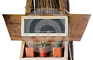 Small cactus and blackboard