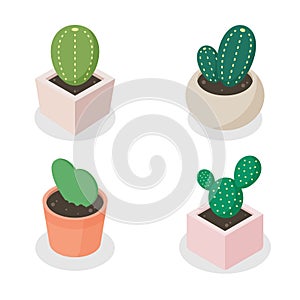 Small cactus vector isometric