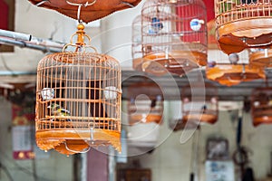 Small caged bird at Yuen Po Bird Market, Mong Kok, Hong Kong