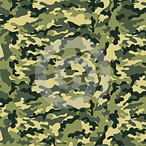 Small Camouflage photo